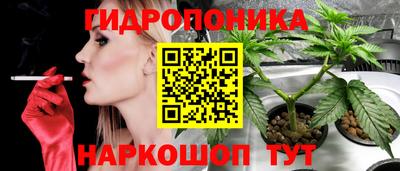 Альфа ПВП Краснодар