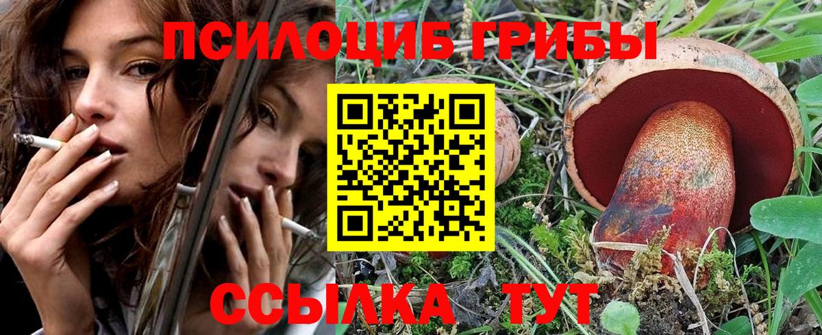 Каменск-Уральский  Галлюциногенные грибы Magic Shrooms  где купить наркоту  Вход с VPN 